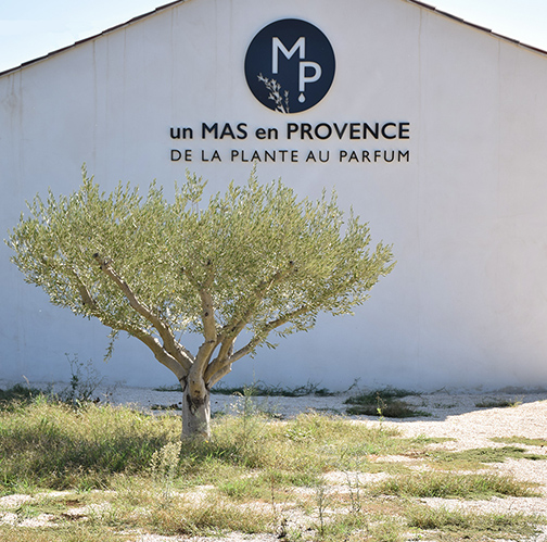 Un Mas en Provence - © Les Bons Détails